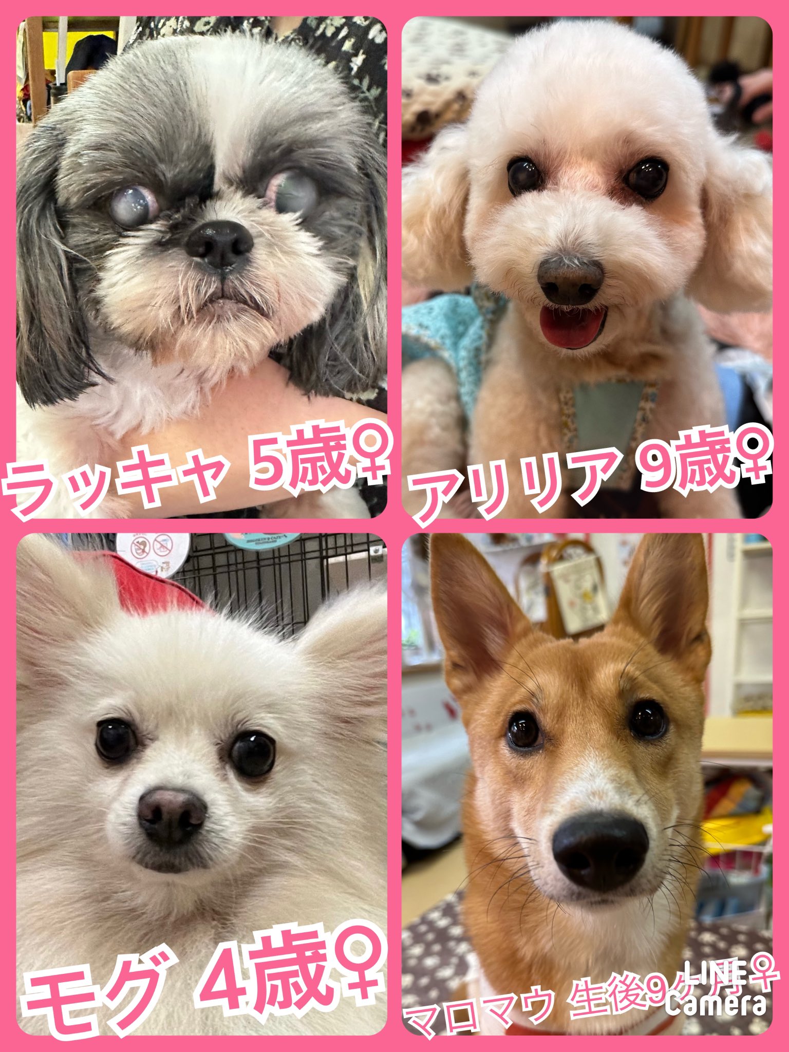 2023,10,11